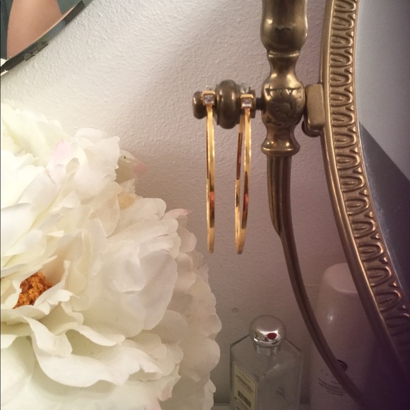 Diane von Furstenberg Hoop Earrings - Picture 5 of 6